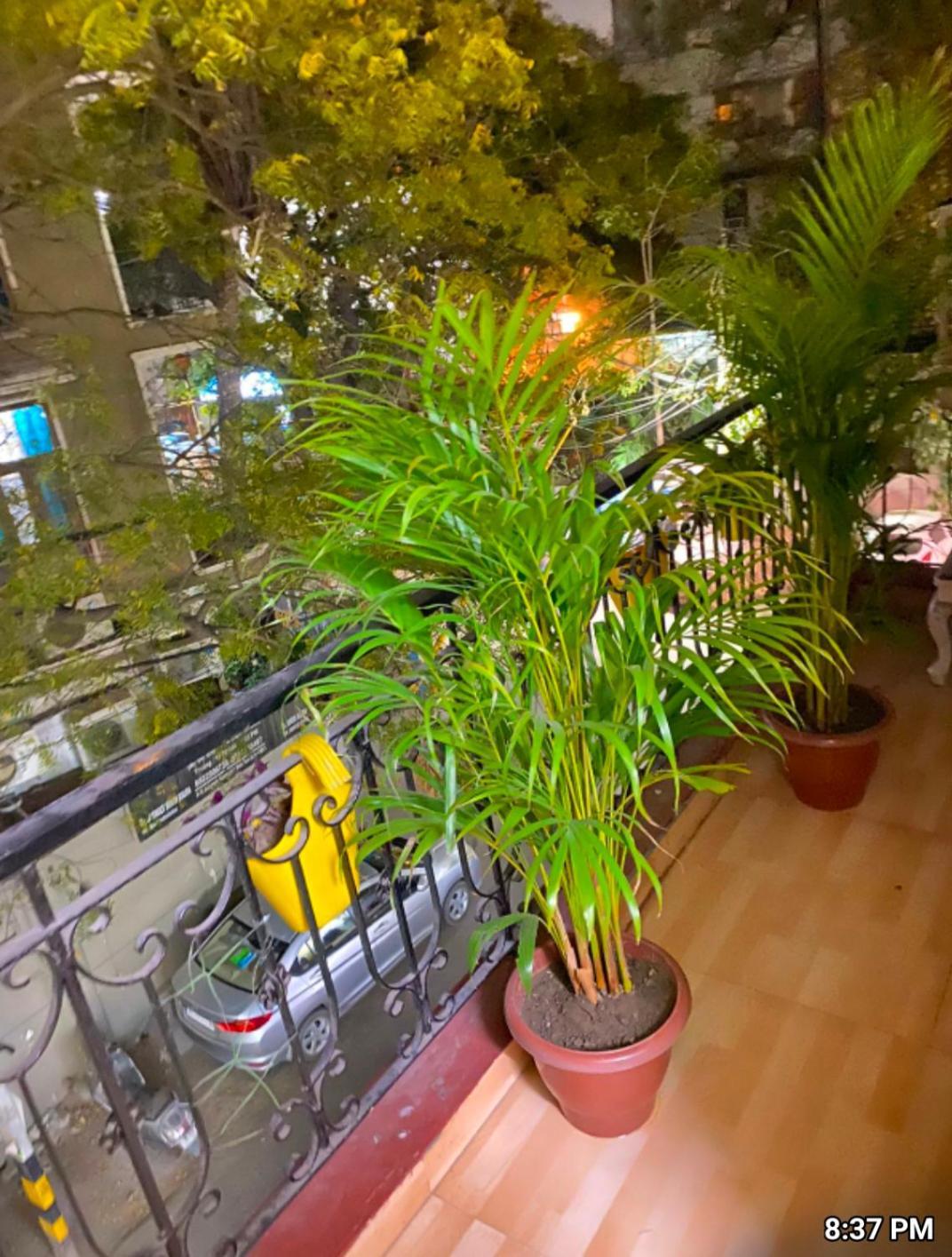 The Super Residency - Near Nizamuddin Markaz & Auliya Dargha * New Delhi